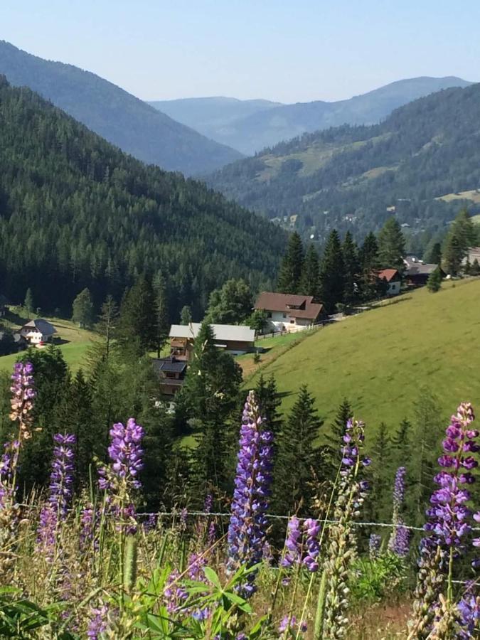 Haus Klinsterwald Sankt Oswald (Carinthia) Ngoại thất bức ảnh