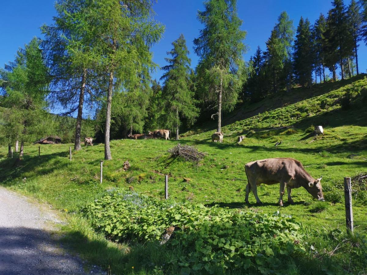 Haus Klinsterwald Sankt Oswald (Carinthia) Ngoại thất bức ảnh